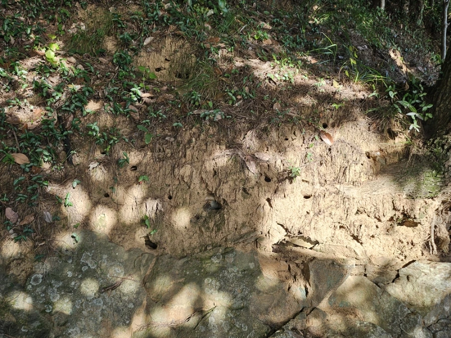 20241005%EF%BC%BF163401.jpg?type=w966