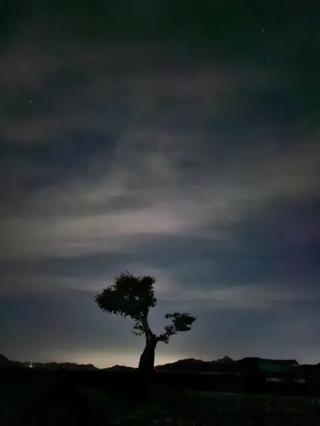 20241002%EF%BC%BF202430.jpg?type=w466