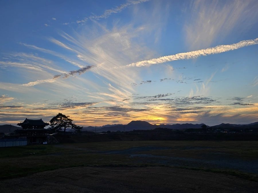 20241005%EF%BC%BF180641.jpg?type=w966