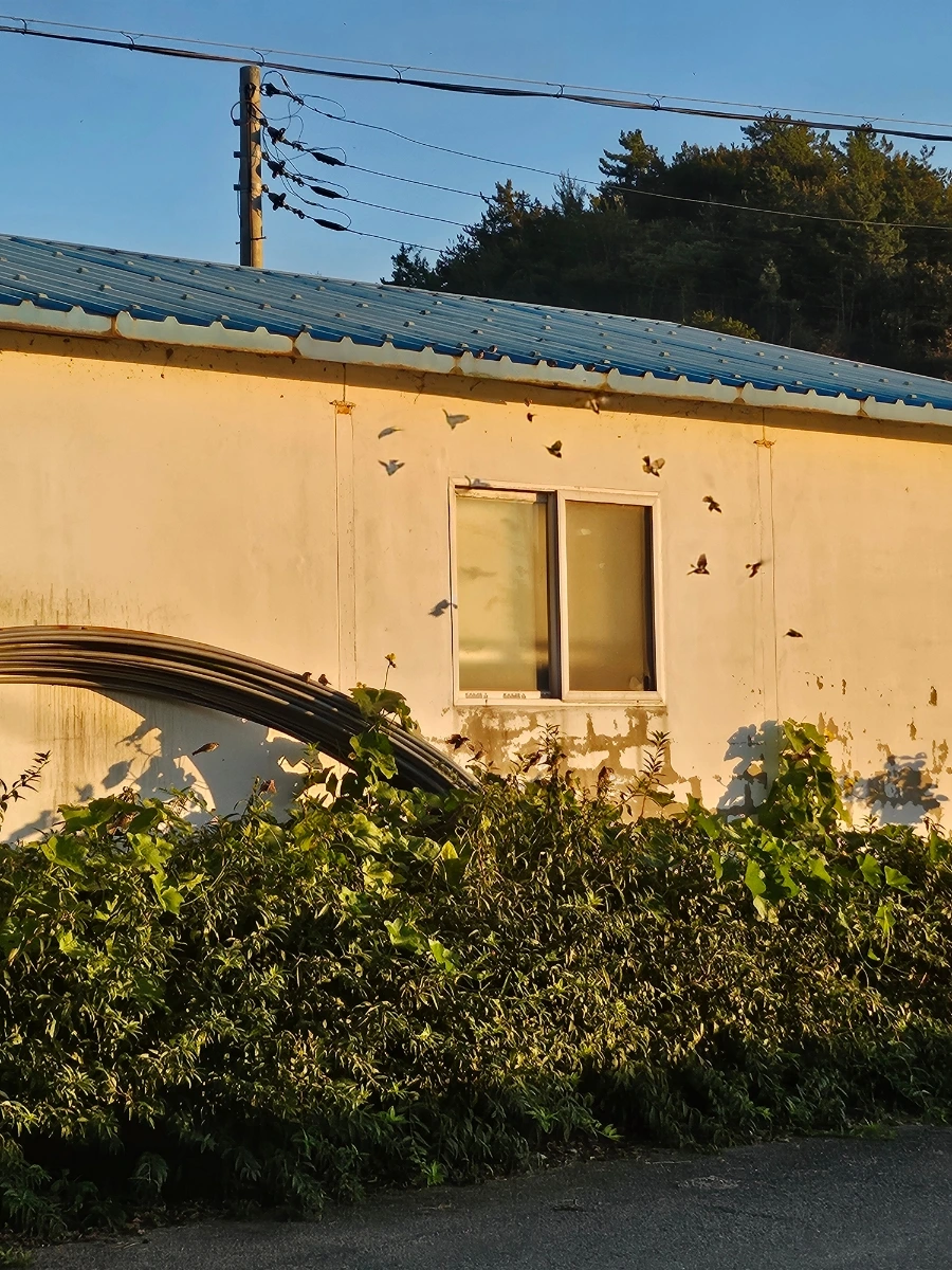 20241024%EF%BC%BF171844.jpg?type=w966