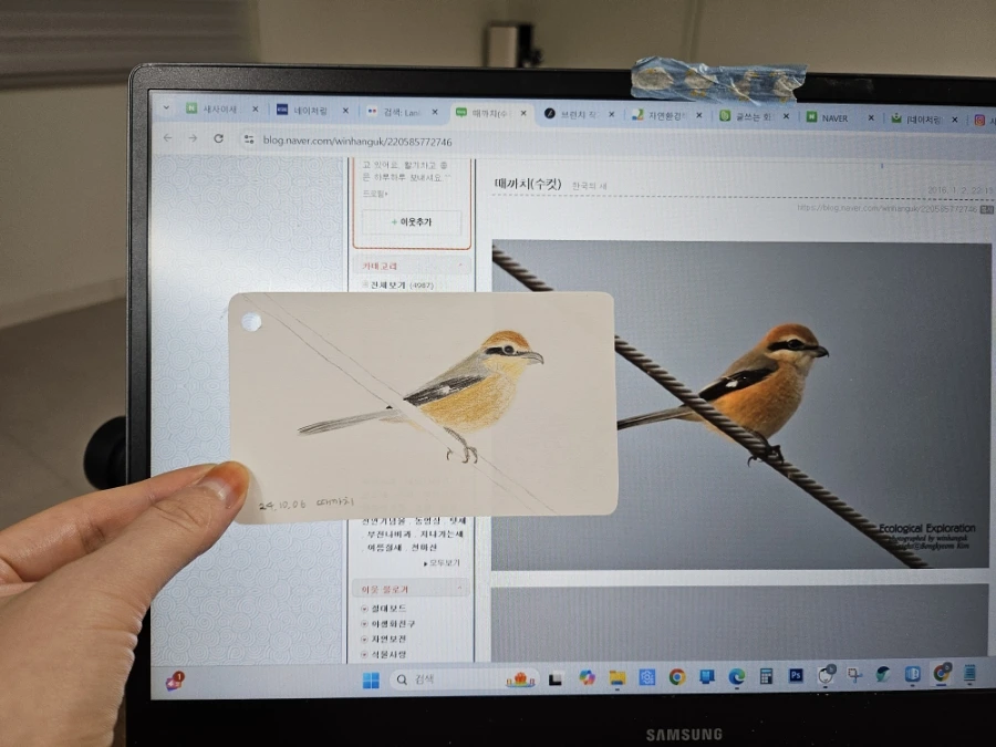 20241006%EF%BC%BF223547.jpg?type=w966