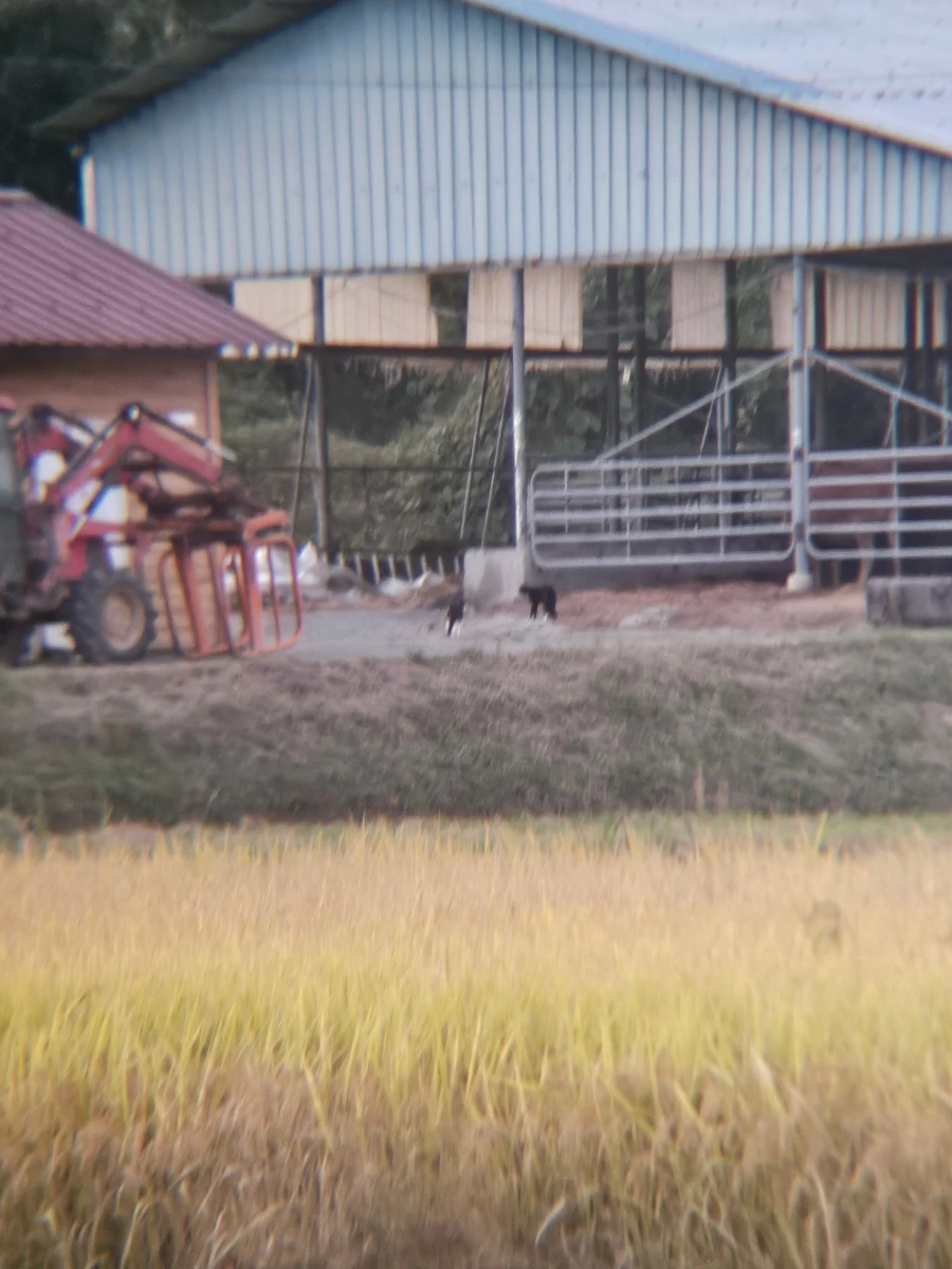 20241026%EF%BC%BF175441.jpg?type=w966