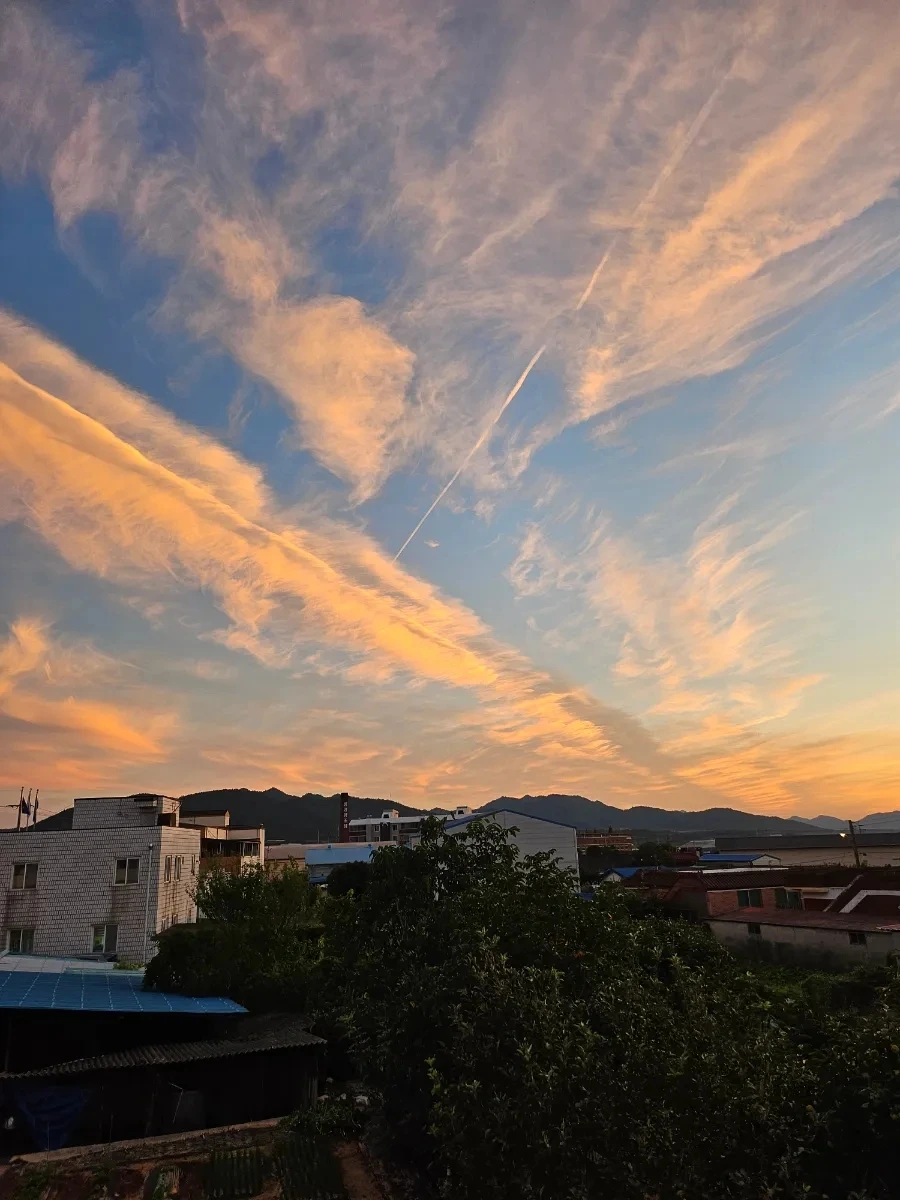 20241002%EF%BC%BF182055.jpg?type=w966