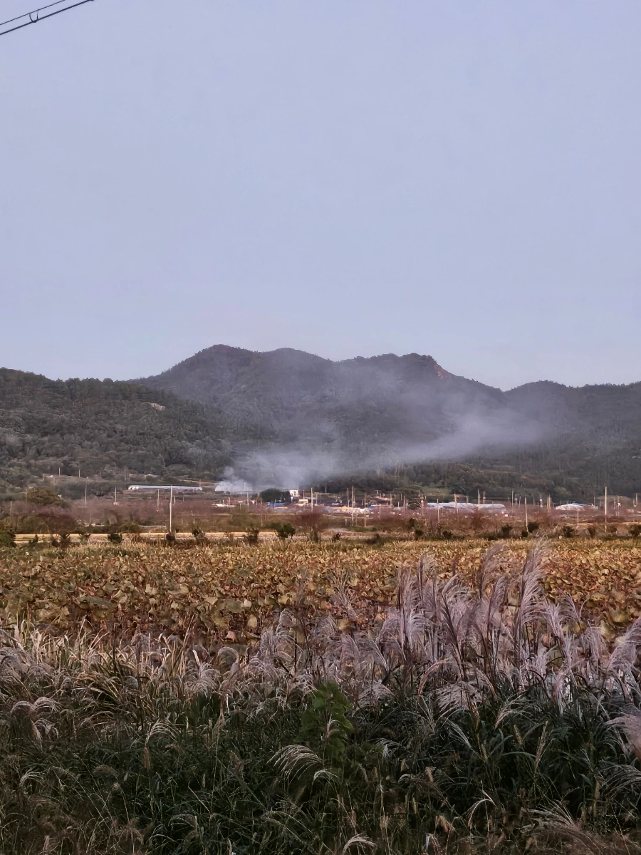 20241026%EF%BC%BF180149.jpg?type=w966