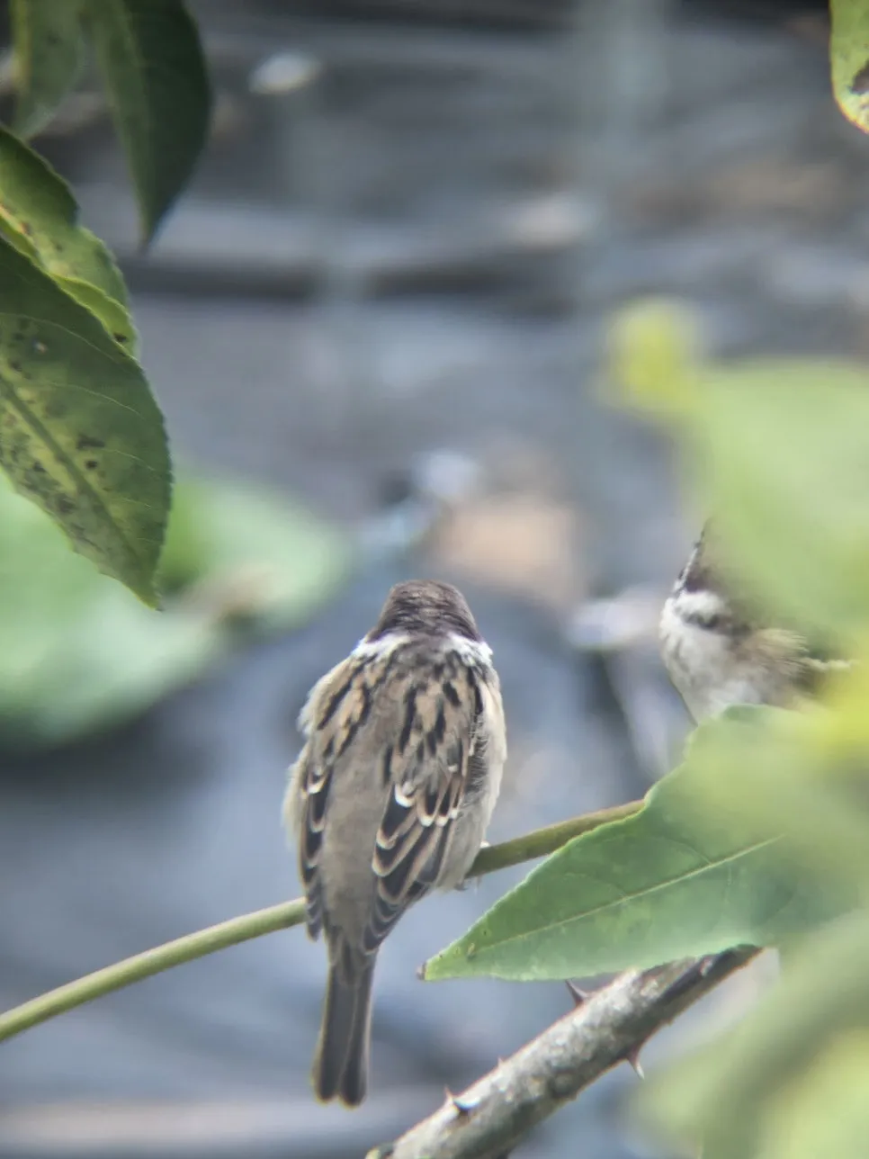 KakaoTalk_20241010_211751199.jpg?type=w966