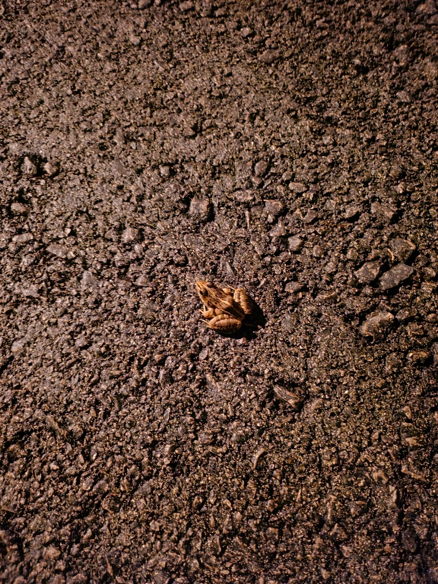 20241006%EF%BC%BF204655.jpg?type=w966