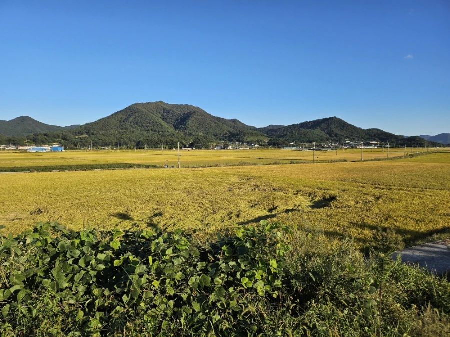 20241004%EF%BC%BF170355.jpg?type=w966