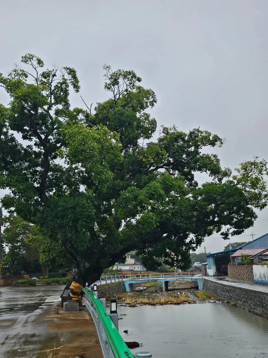 20241003%EF%BC%BF153433.jpg?type=w966