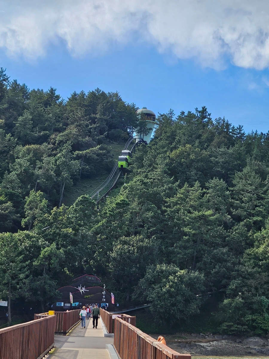 20241005%EF%BC%BF143500.jpg?type=w966