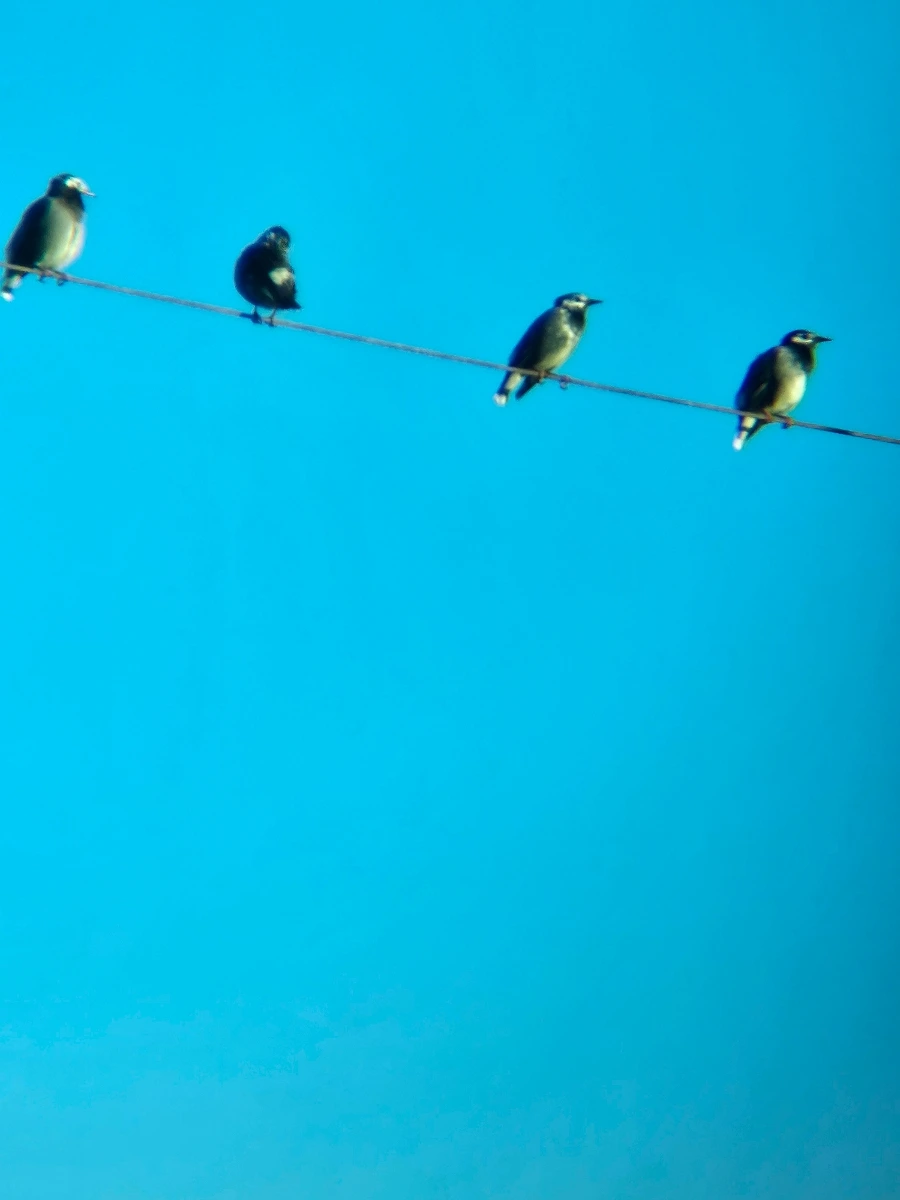 20241026%EF%BC%BF171003.jpg?type=w966