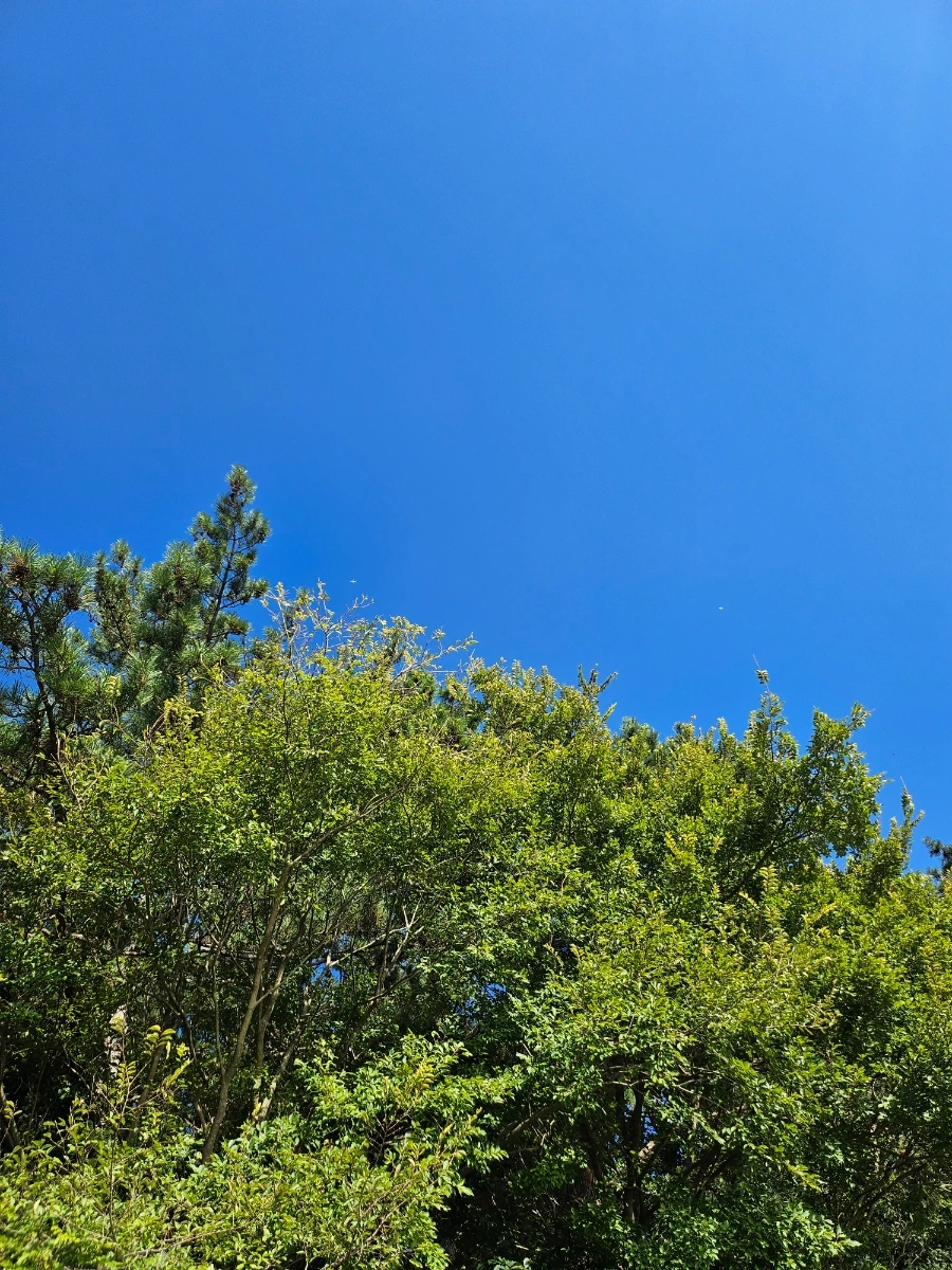 20241005%EF%BC%BF161237.jpg?type=w966