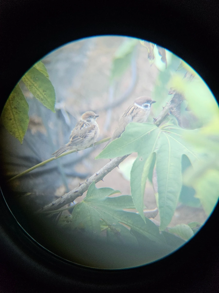 20241007%EF%BC%BF114150.jpg?type=w966