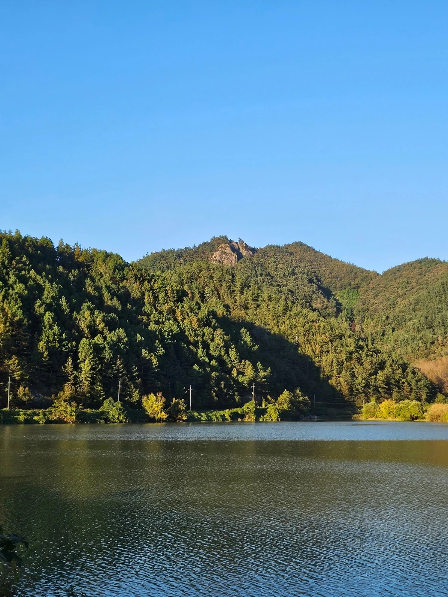 20241024%EF%BC%BF165317.jpg?type=w966