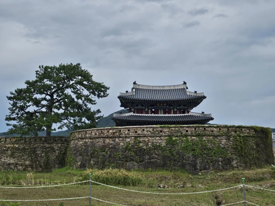 20241006%EF%BC%BF122702.jpg?type=w966