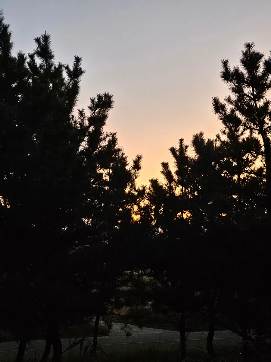 20241026%EF%BC%BF180631.jpg?type=w966