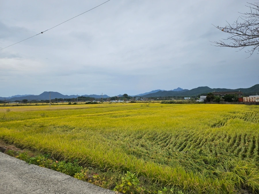 20241006%EF%BC%BF123000.jpg?type=w966