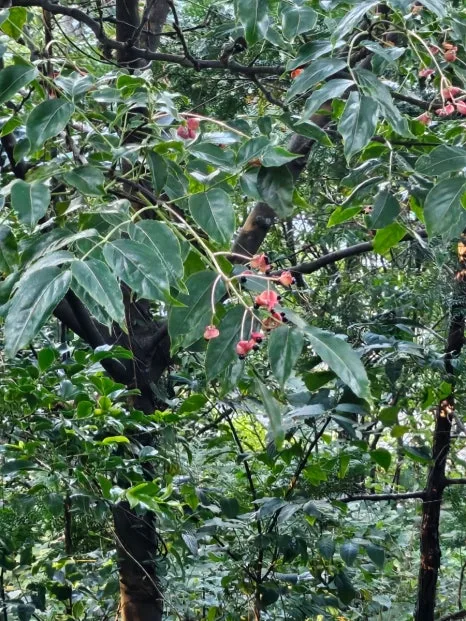 20241005%EF%BC%BF154127.jpg?type=w466