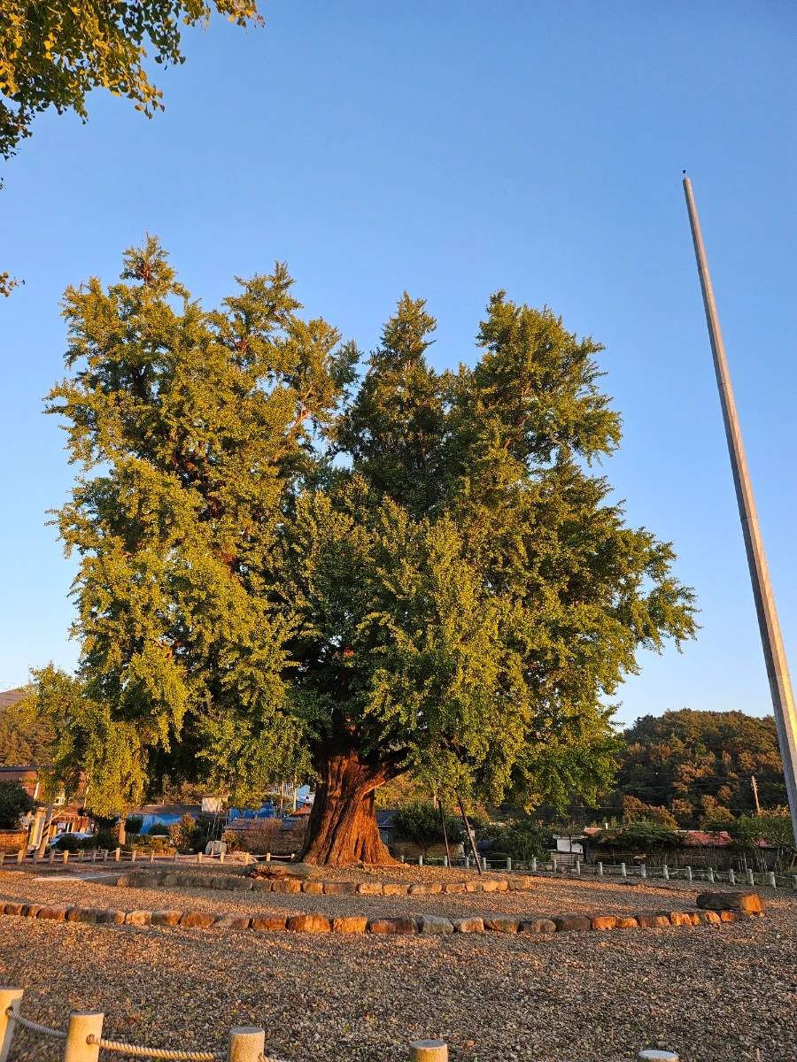 20241024%EF%BC%BF173043.jpg?type=w966