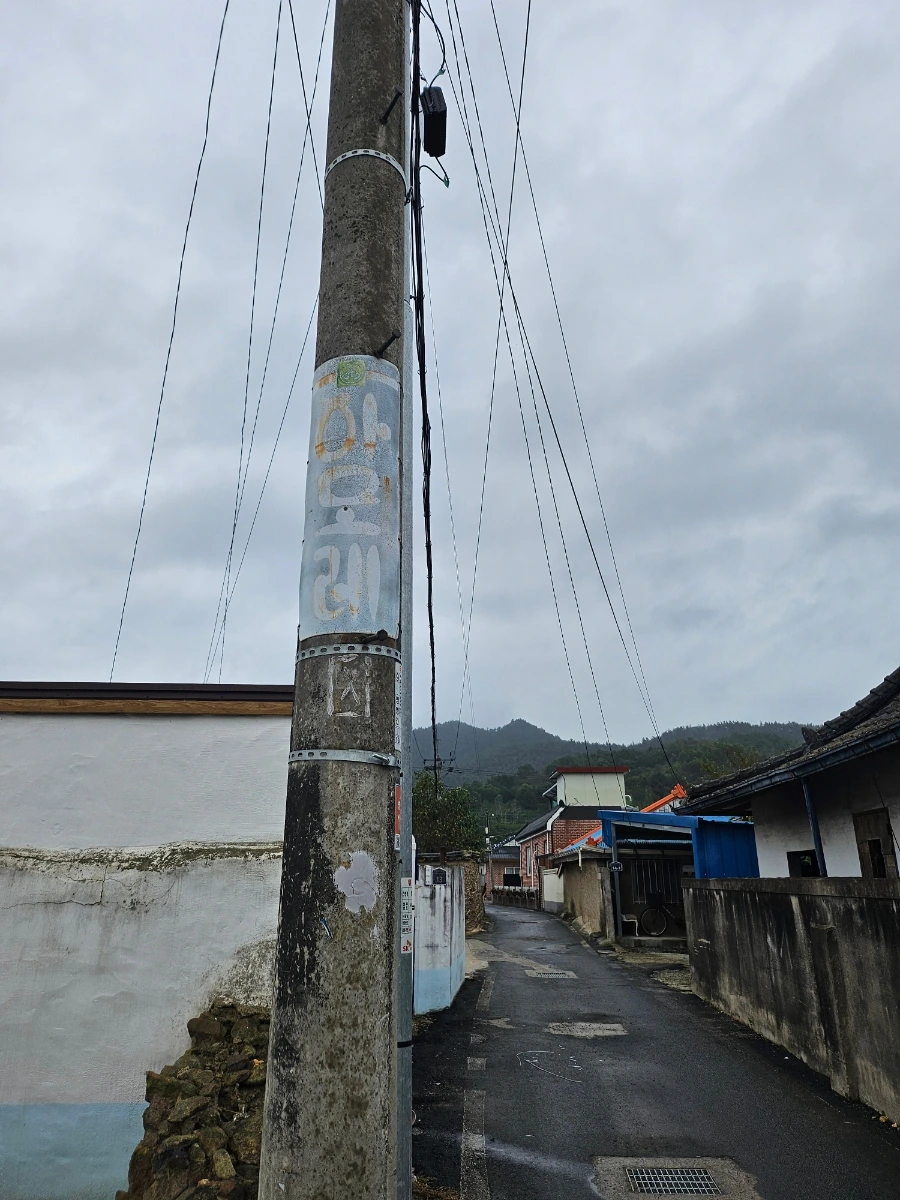 20241003%EF%BC%BF150757.jpg?type=w966