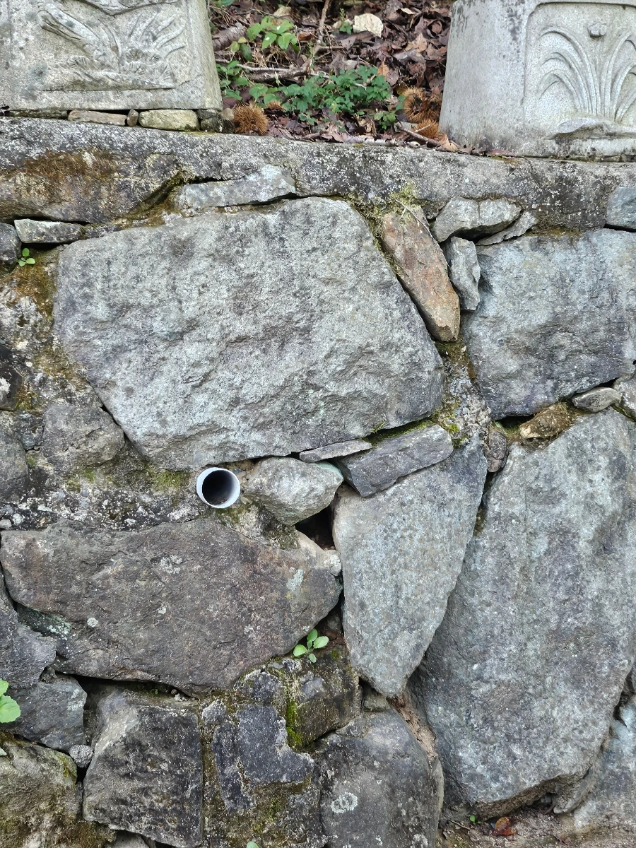 20241026%EF%BC%BF164912.jpg?type=w966