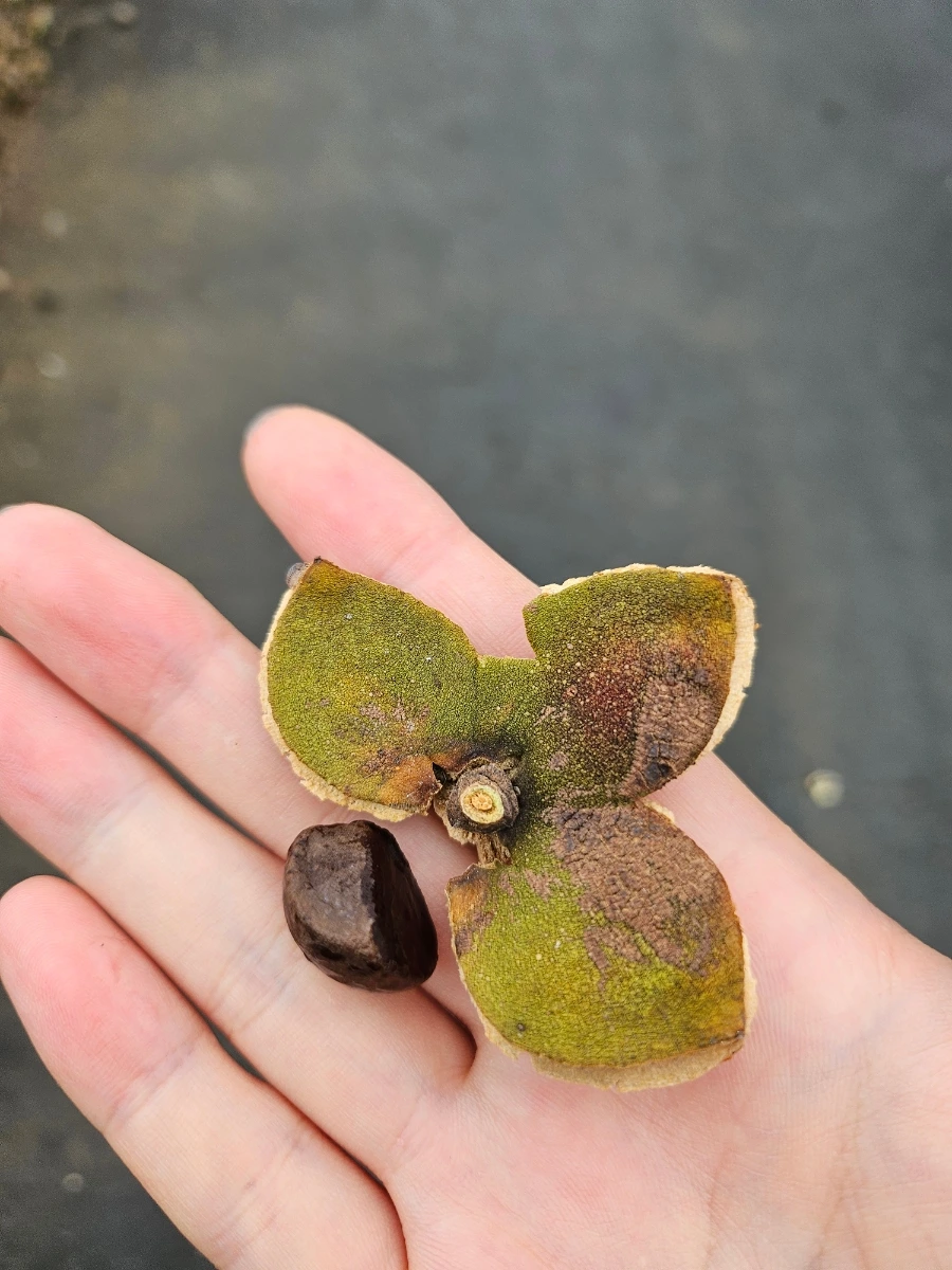 20241003%EF%BC%BF150134.jpg?type=w966