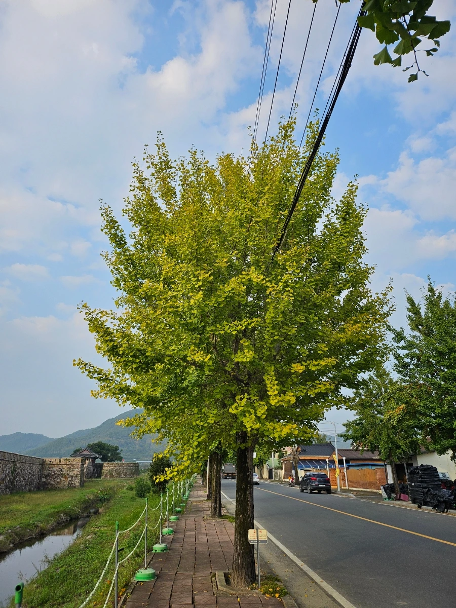 20241008%EF%BC%BF163859.jpg?type=w966