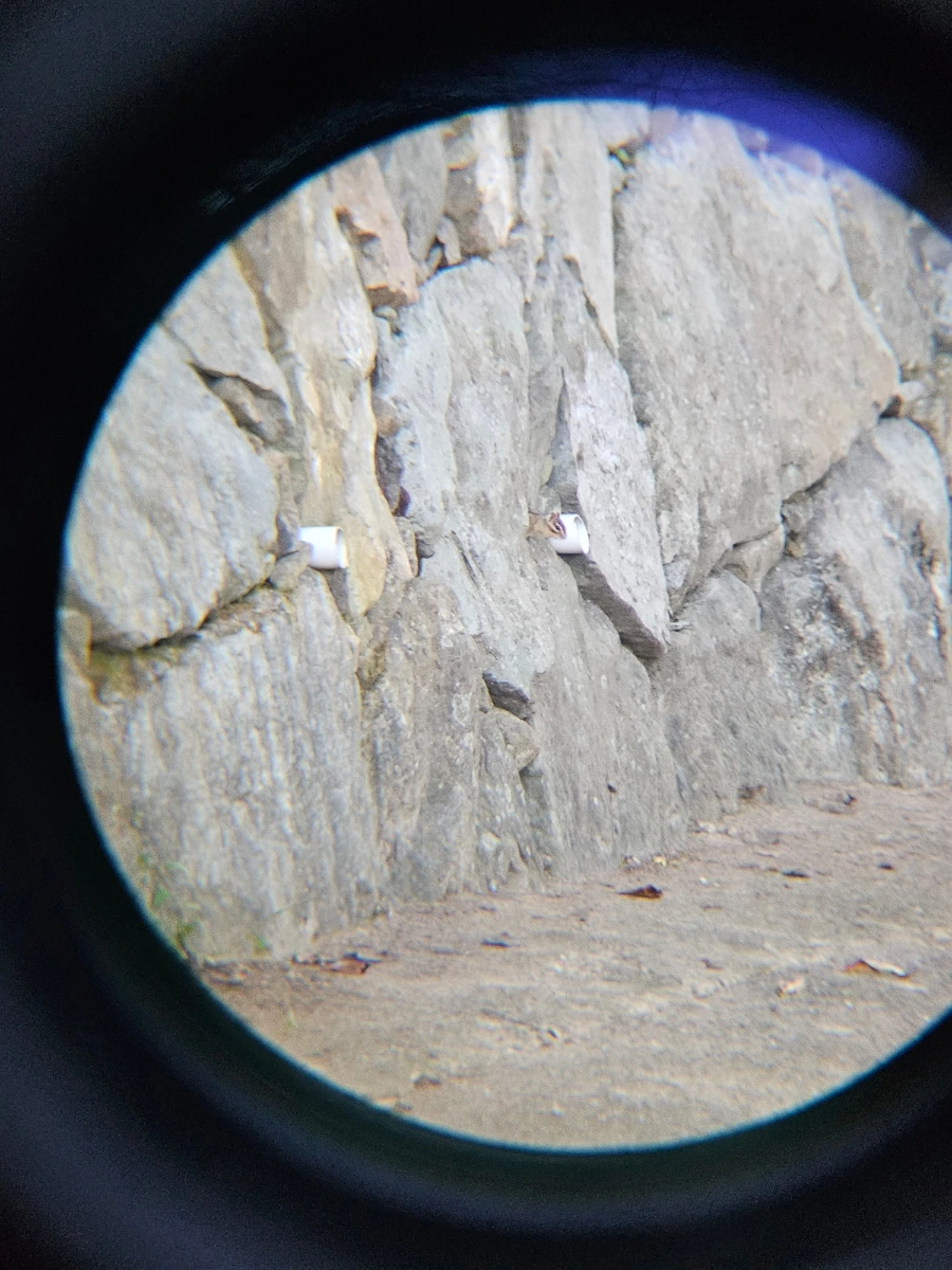 20241026%EF%BC%BF162615.jpg?type=w966