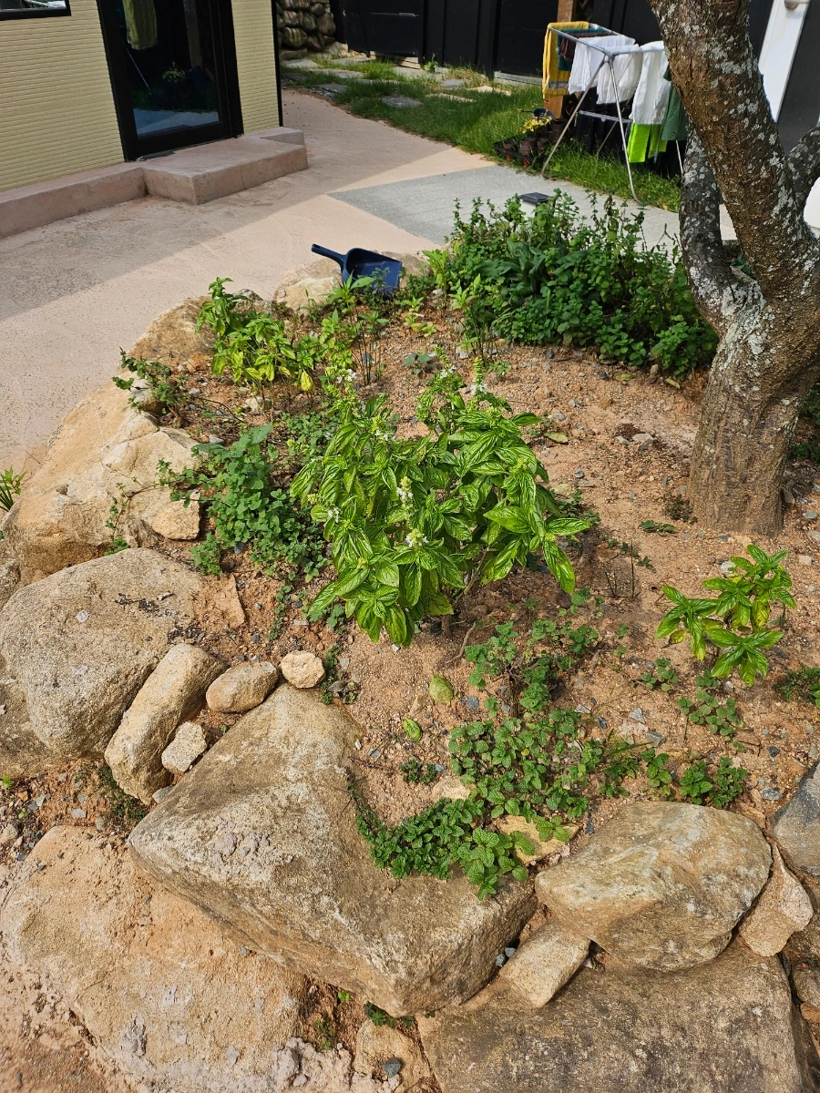 20241008%EF%BC%BF130206.jpg?type=w966