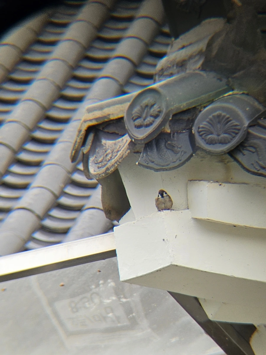 20241021%EF%BC%BF142704.jpg?type=w966