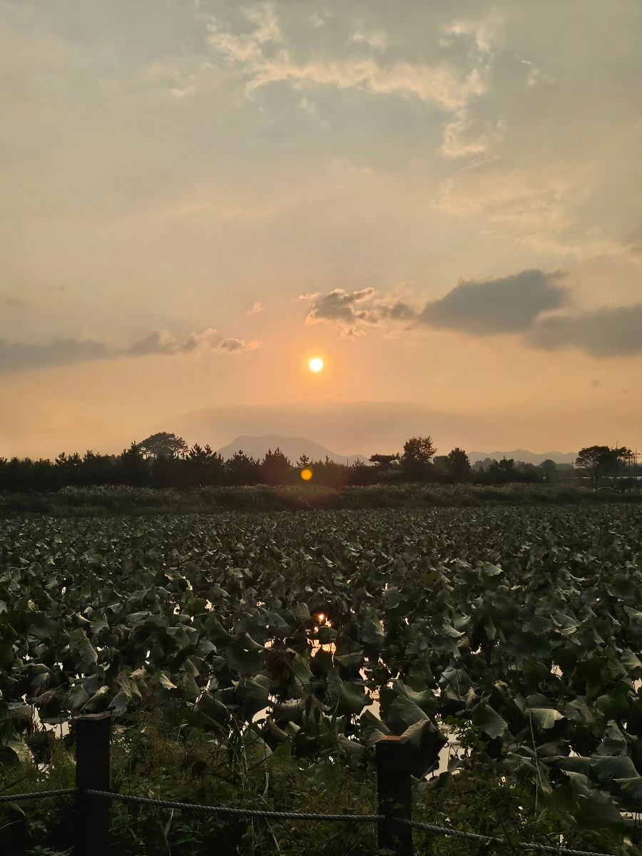 20241008%EF%BC%BF173125.jpg?type=w966