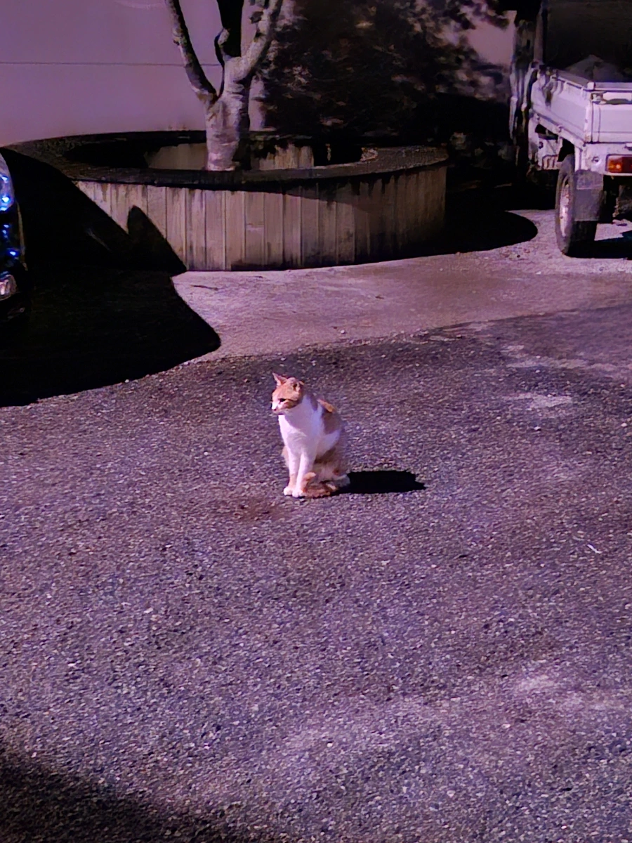 20241006%EF%BC%BF204319.jpg?type=w966