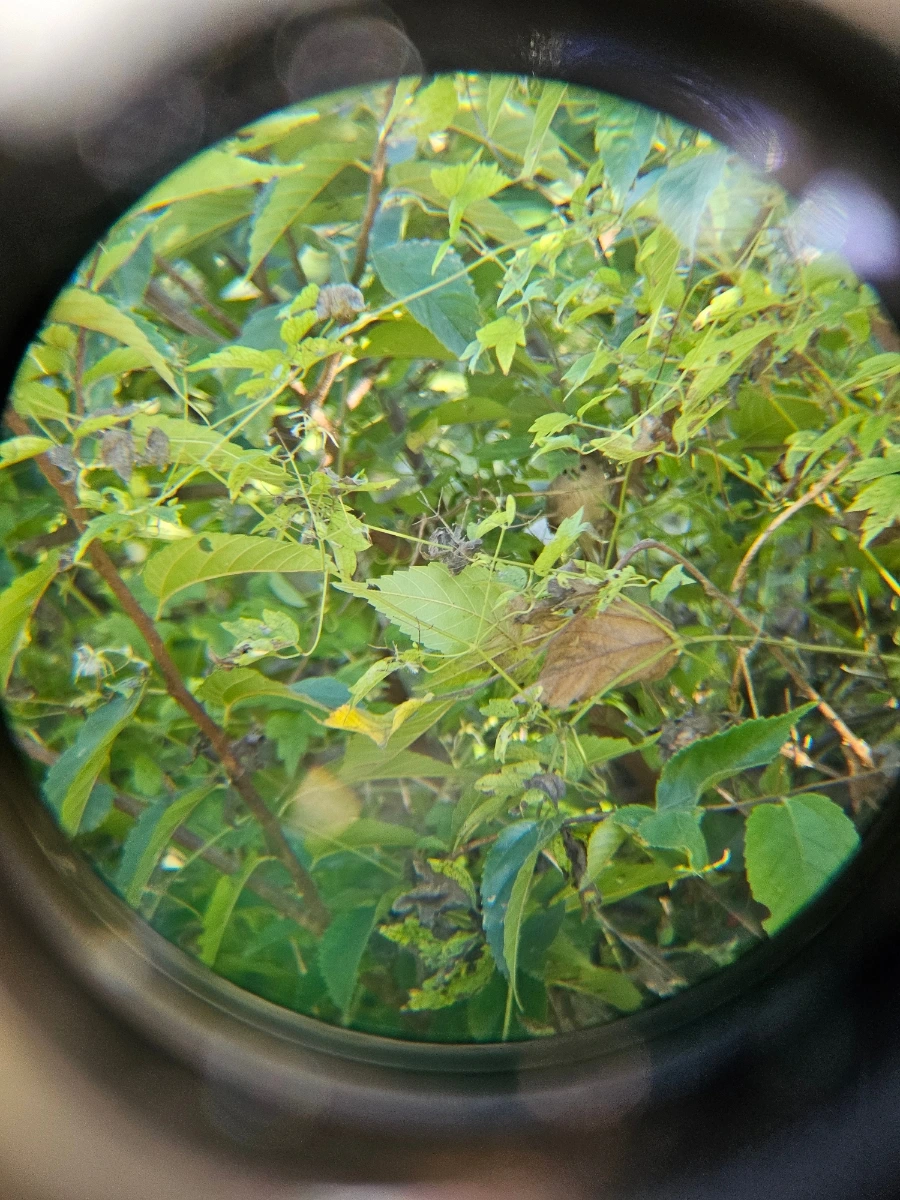 20241024%EF%BC%BF155619.jpg?type=w966