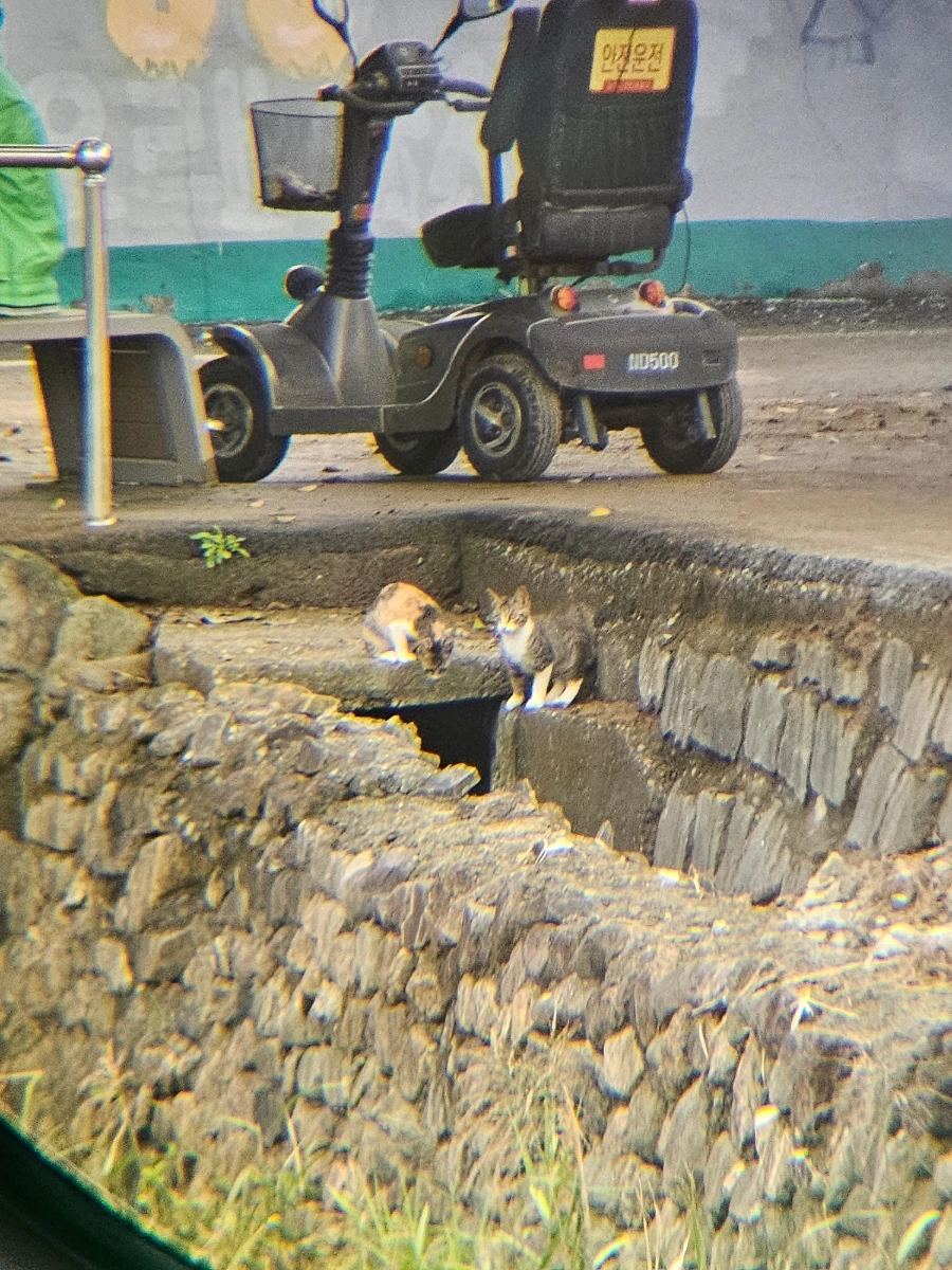 20241007%EF%BC%BF130149%EF%BC%880%EF%BC%89.jpg?type=w966