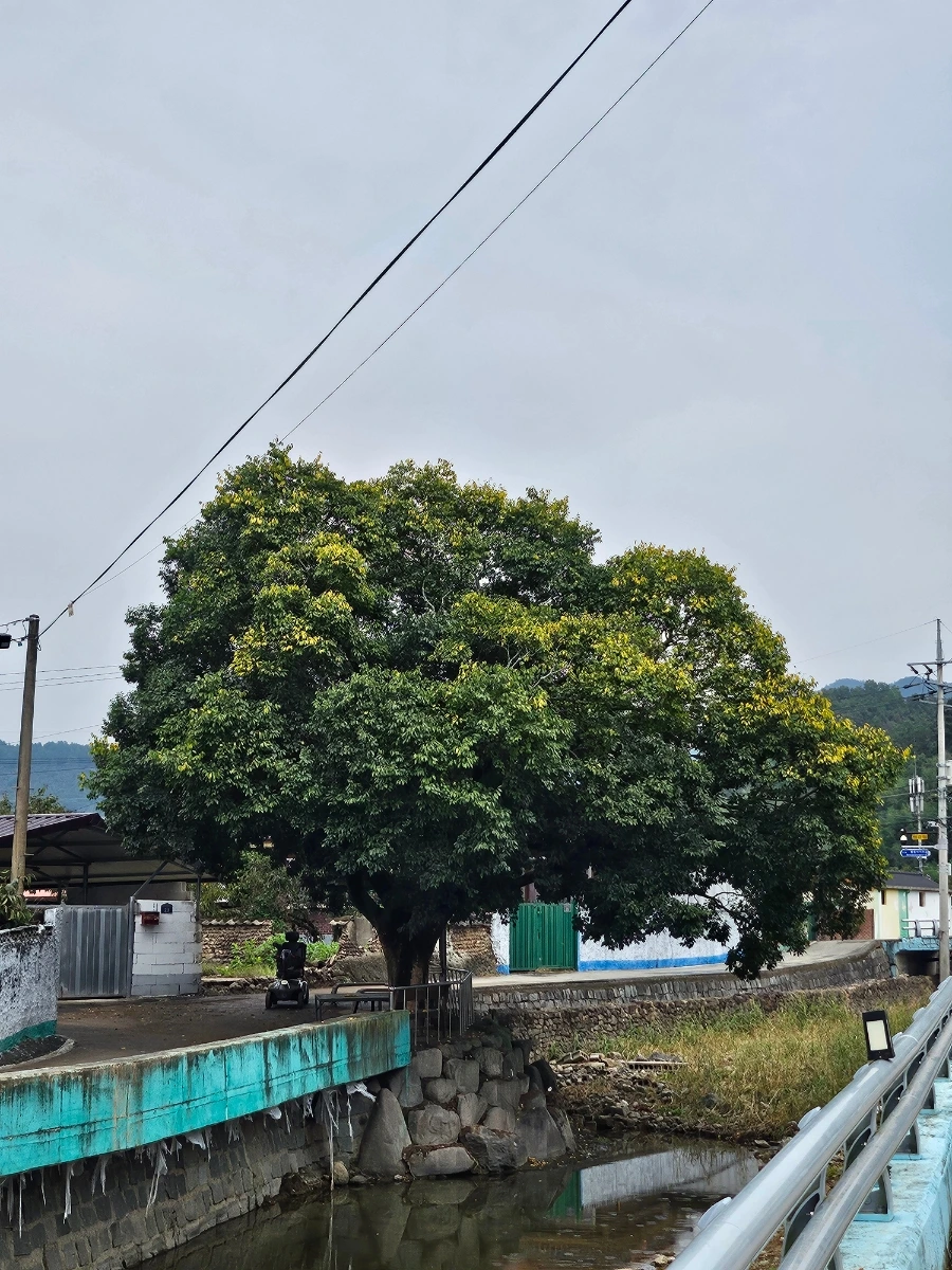 20241007%EF%BC%BF123600.jpg?type=w966