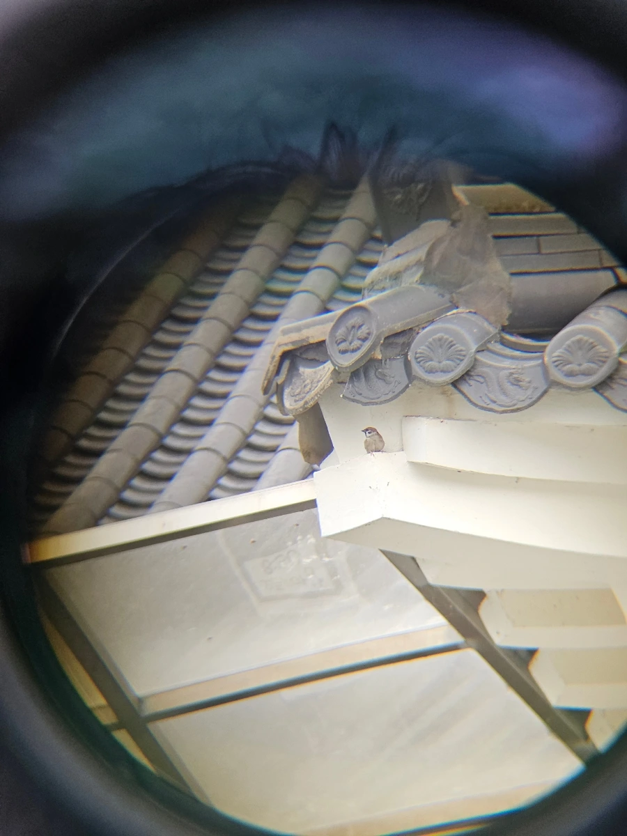 20241021%EF%BC%BF142658.jpg?type=w966