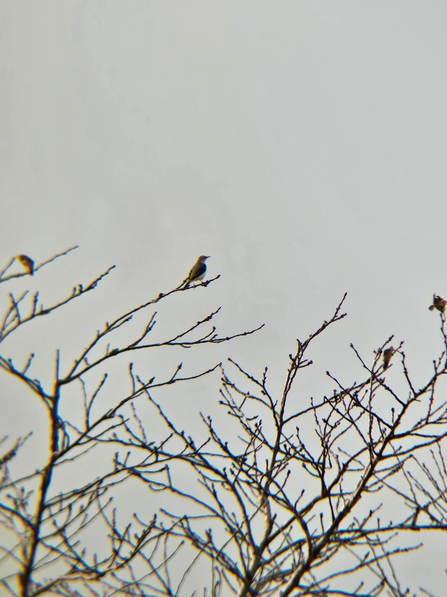 20241008%EF%BC%BF170529.jpg?type=w966