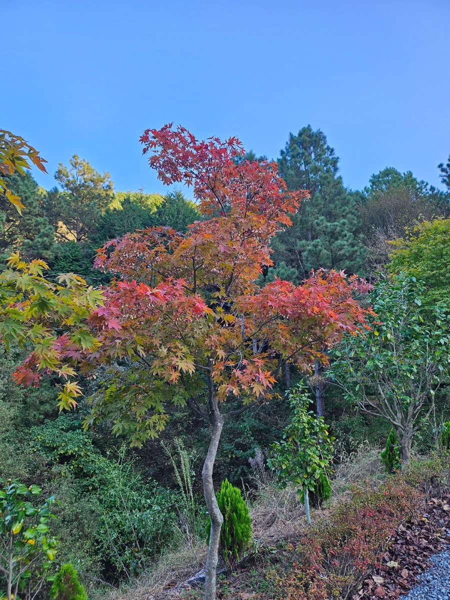 20241026%EF%BC%BF163830.jpg?type=w966