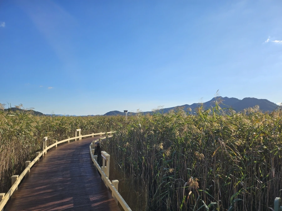 20241004%EF%BC%BF164216.jpg?type=w966