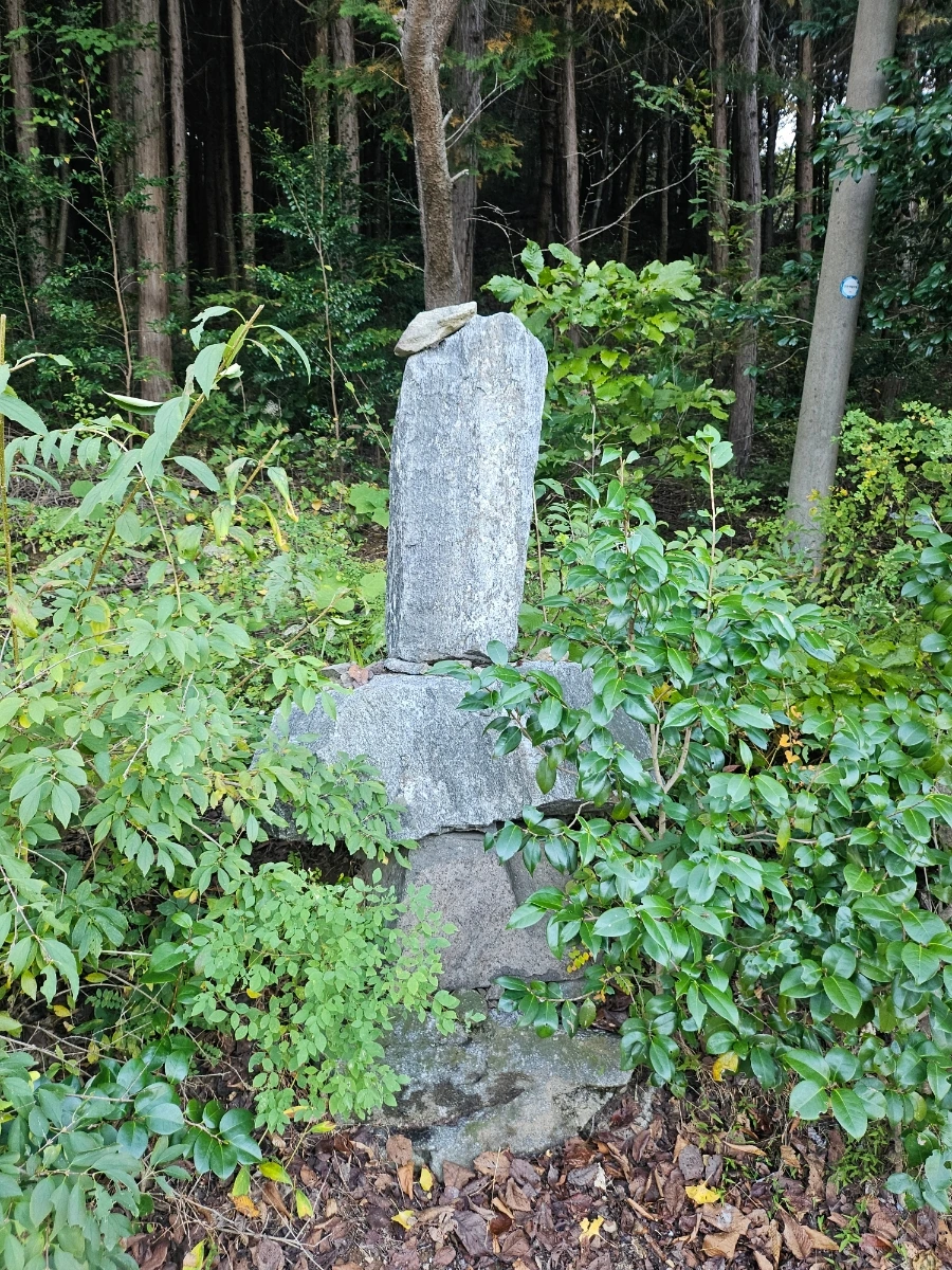 20241026%EF%BC%BF162508.jpg?type=w966