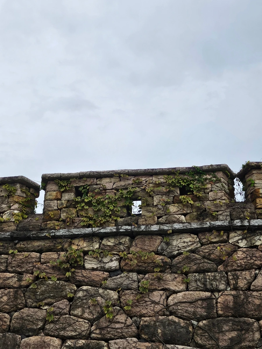 20241006%EF%BC%BF123809.jpg?type=w966