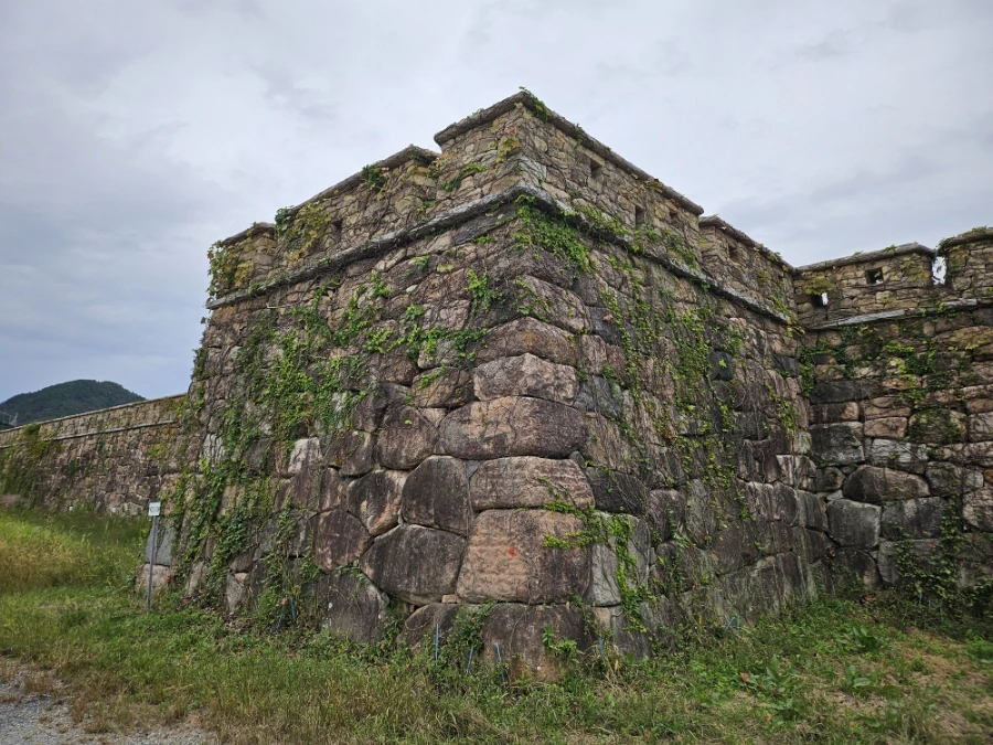 20241006%EF%BC%BF123423.jpg?type=w966