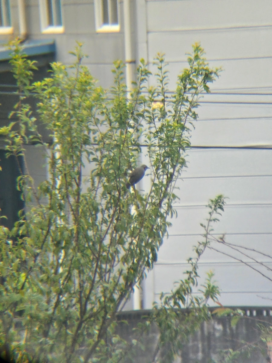 20241007%EF%BC%BF113158.jpg?type=w966