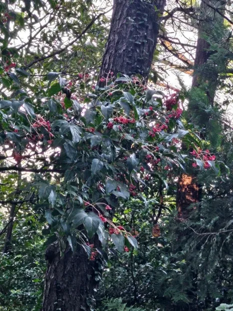 20241005%EF%BC%BF154113.jpg?type=w466