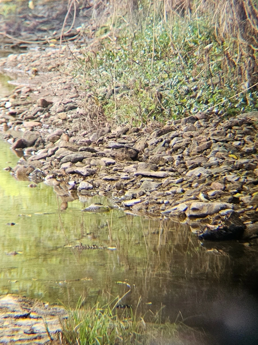 20241007%EF%BC%BF131252.jpg?type=w966