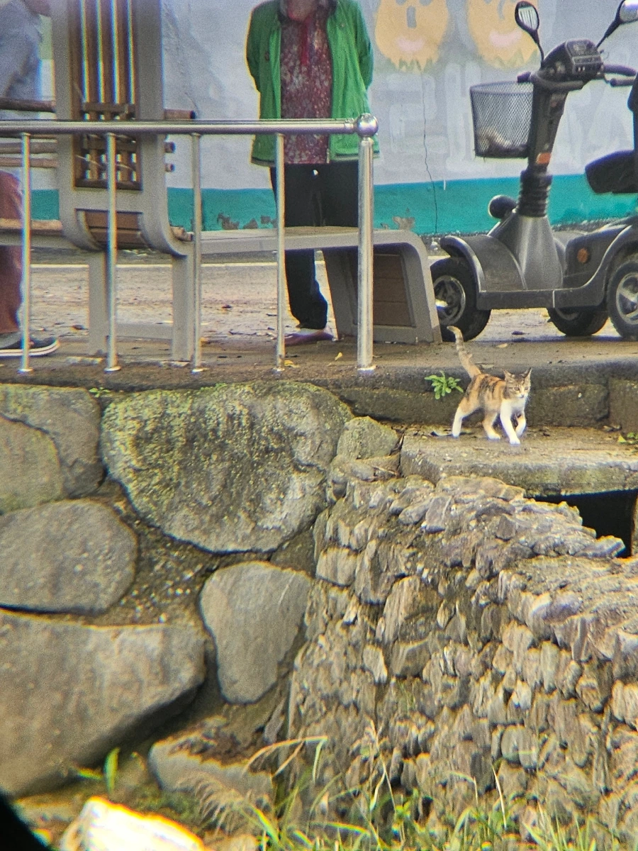 20241007%EF%BC%BF130134.jpg?type=w966