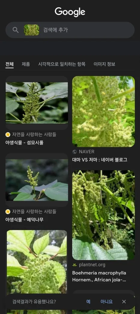 Screenshot%EF%BC%BF20241008%EF%BC%BF005137%EF%BC%BFGoogle.jpg?type=w466