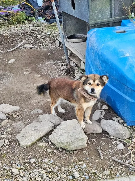 20241024%EF%BC%BF170715.jpg?type=w466