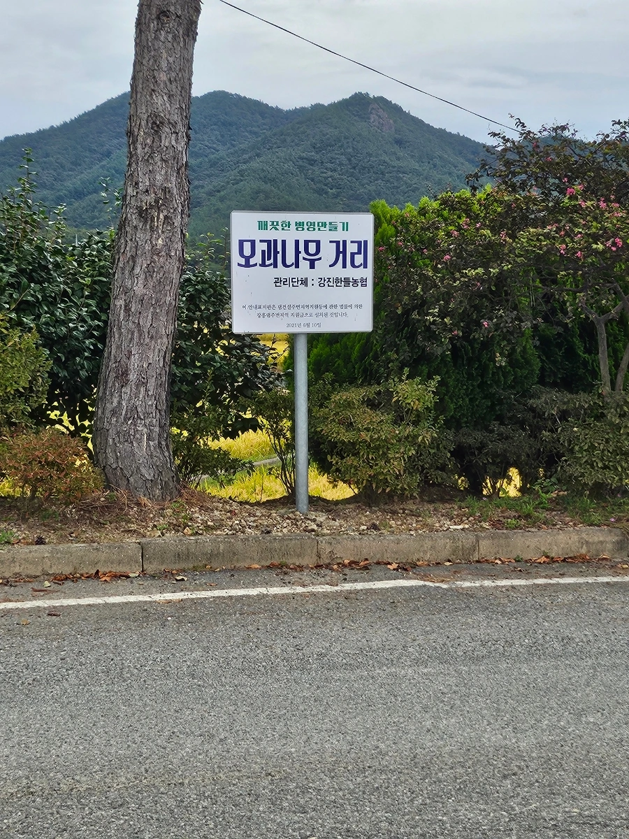 20241006%EF%BC%BF130006.jpg?type=w966