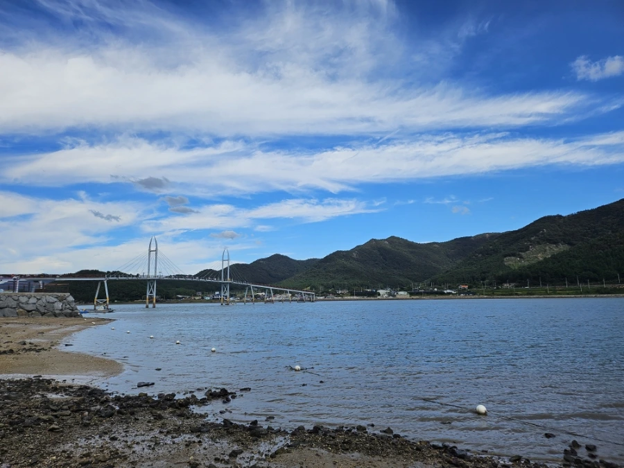 20241005%EF%BC%BF144213.jpg?type=w966