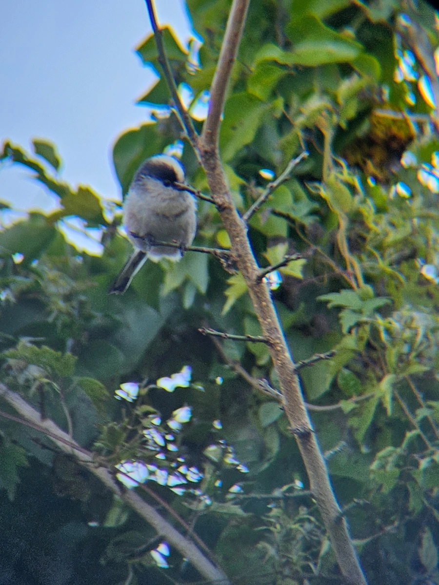 20241024%EF%BC%BF163034.jpg?type=w966